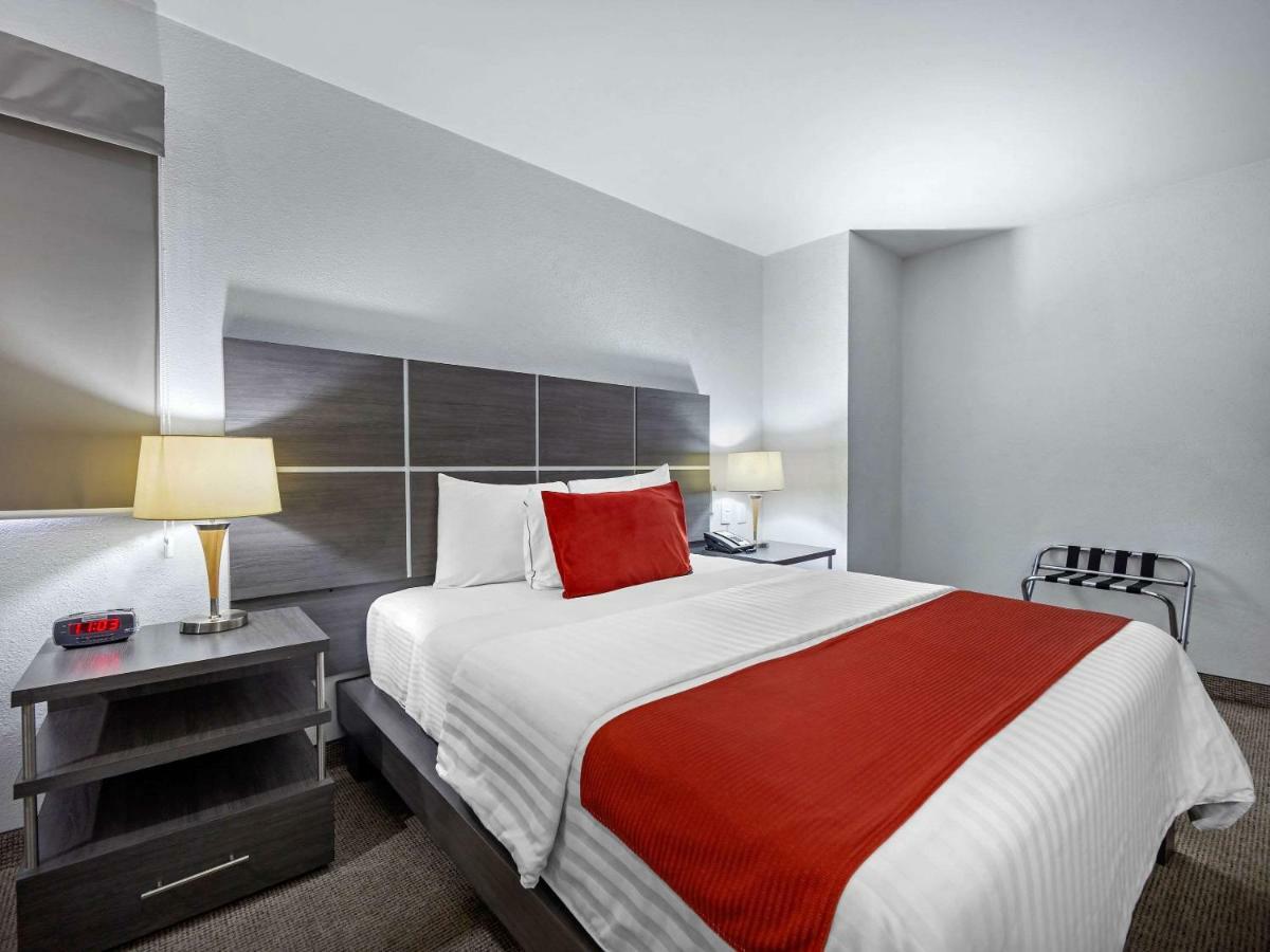 Hotel Bewow Querétaro Dış mekan fotoğraf