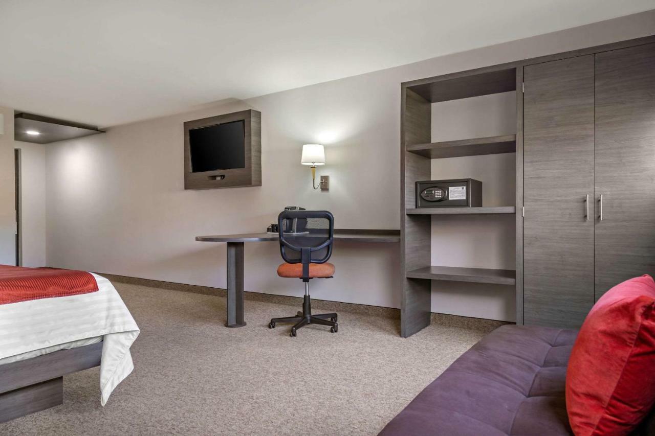 Hotel Bewow Querétaro Dış mekan fotoğraf